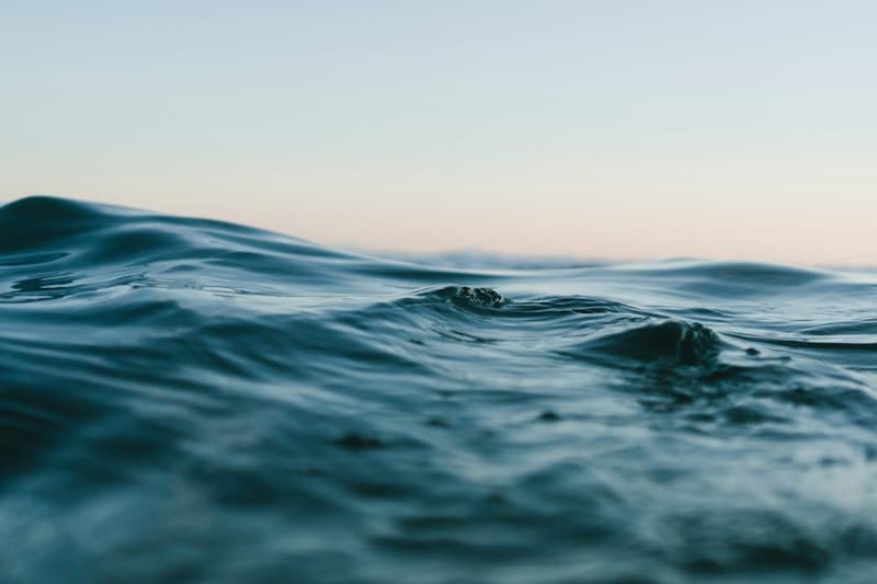 Plastic-Free Pledge: Our Ocean Conservation Commitment